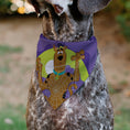 Load image into Gallery viewer, Pet Bandana - Scooby Doo Halloween Spider Web CREEPY CRAWLIES Pose Purples
