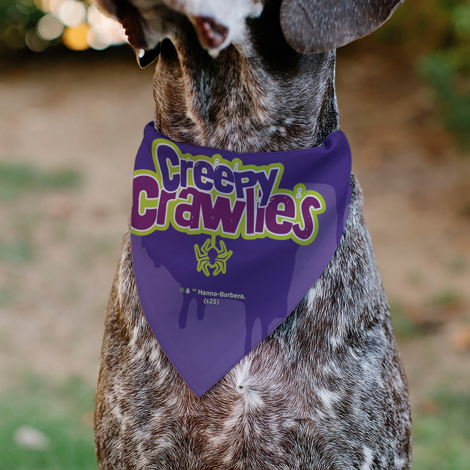 Pet Bandana - Scooby Doo Halloween Spider Web CREEPY CRAWLIES Pose Purples