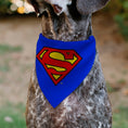 Load image into Gallery viewer, Pet Bandana - Superman Shield Logo Blue/Red/Yellow

