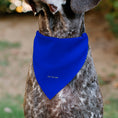 Load image into Gallery viewer, Pet Bandana - Superman Shield Logo Blue/Red/Yellow
