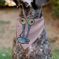 Load image into Gallery viewer, Pet Bandana - SpongeBob SquarePants Gary the Snail Face Close-Up Pink
