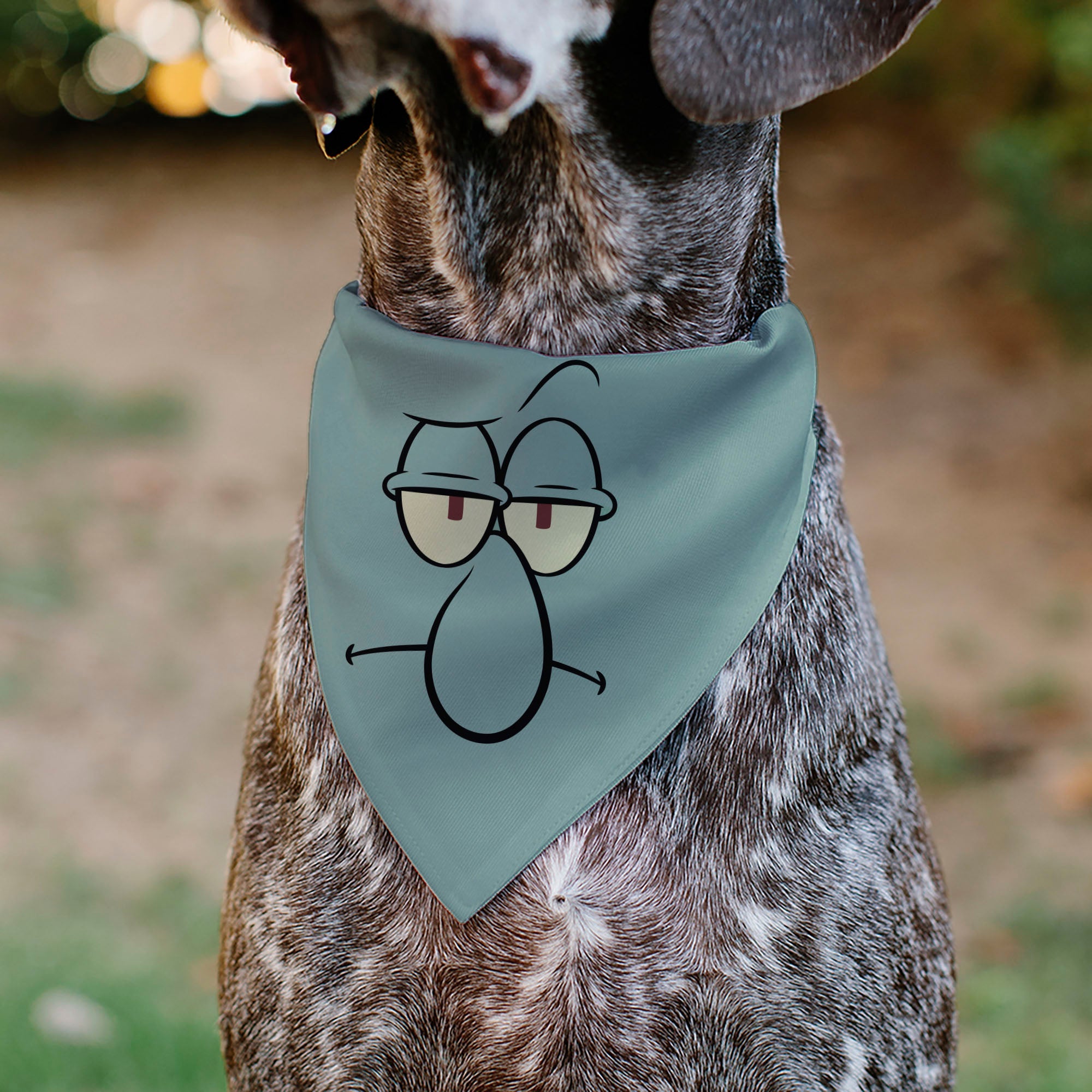 Pet Bandana - SpongeBob SquarePants Squidward Character Close-Up Blue