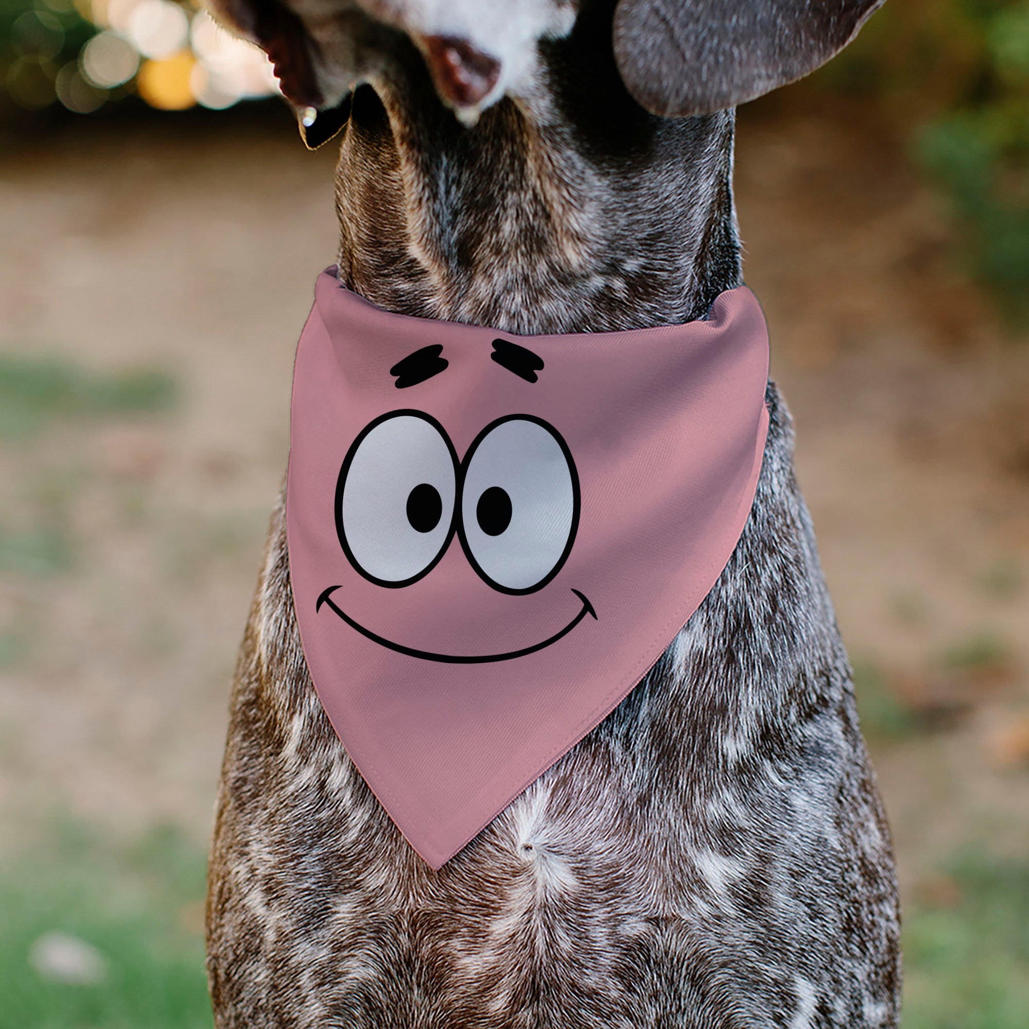 Pet Bandana - SpongeBob SquarePants Patrick Star Character Close-Up Pink