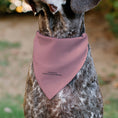 Load image into Gallery viewer, Pet Bandana - SpongeBob SquarePants Patrick Star Character Close-Up Pink
