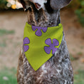 Load image into Gallery viewer, Pet Bandana - Patrick Star Shorts Flower Icon Green/Lavender

