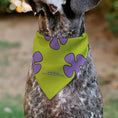 Load image into Gallery viewer, Pet Bandana - Patrick Star Shorts Flower Icon Green/Lavender
