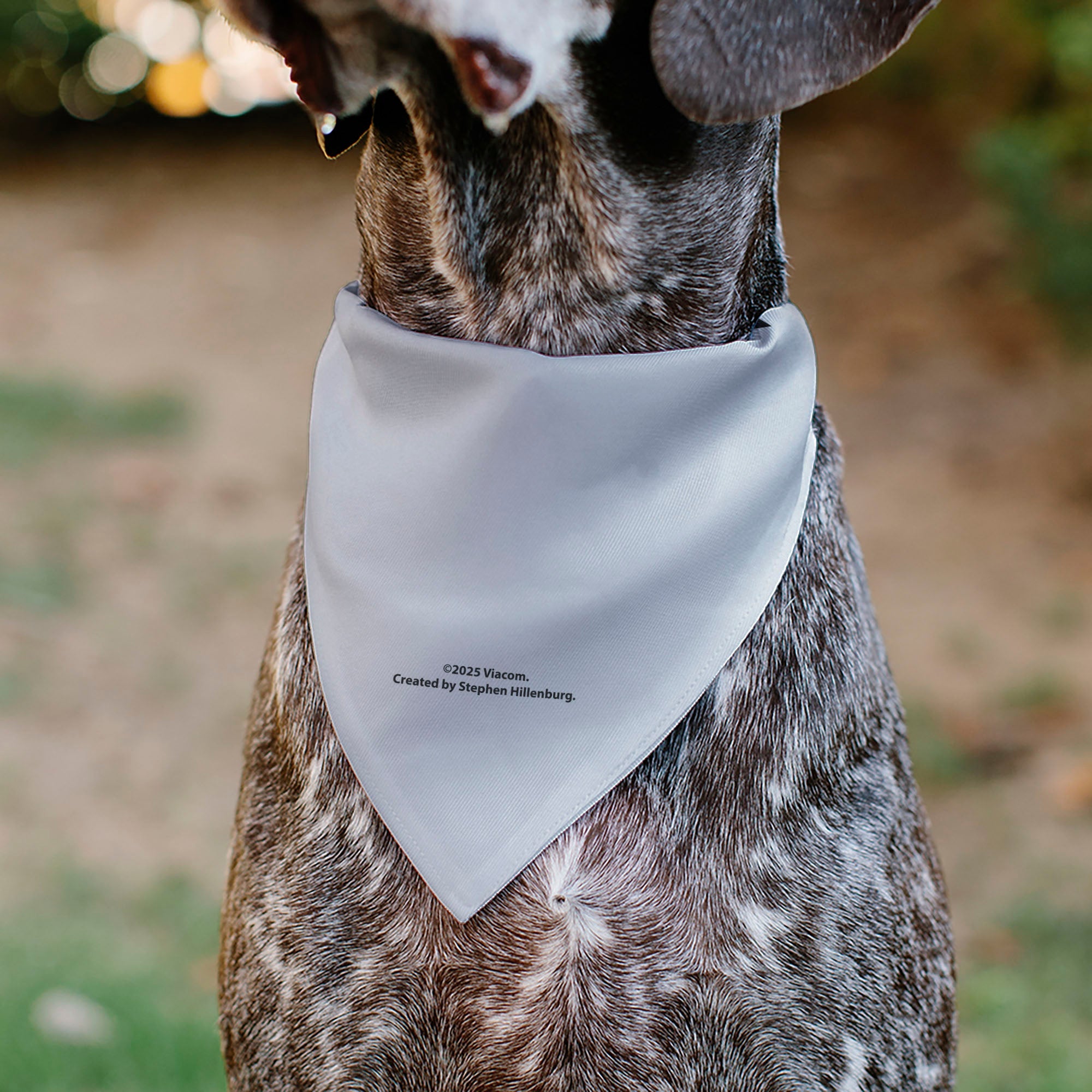 Pet Bandana - SpongeBob SquarePants Tie Outfit Character Close-Up