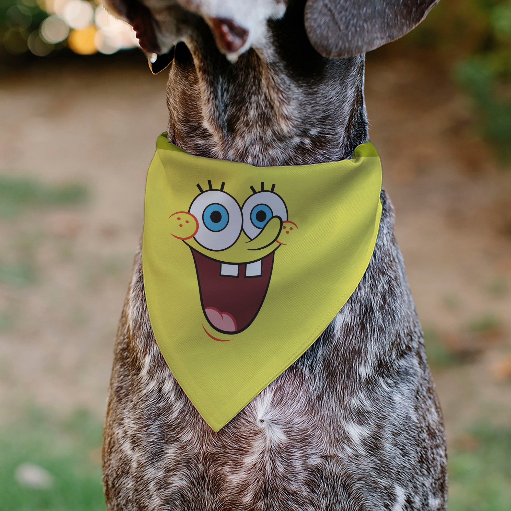 Pet Bandana - SpongeBob SquarePants Excited Smile Expression Yellow