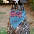 Load image into Gallery viewer, Pet Bandana - GARY the Snail Smiling Face Close-Up and Text Blue/Pinks
