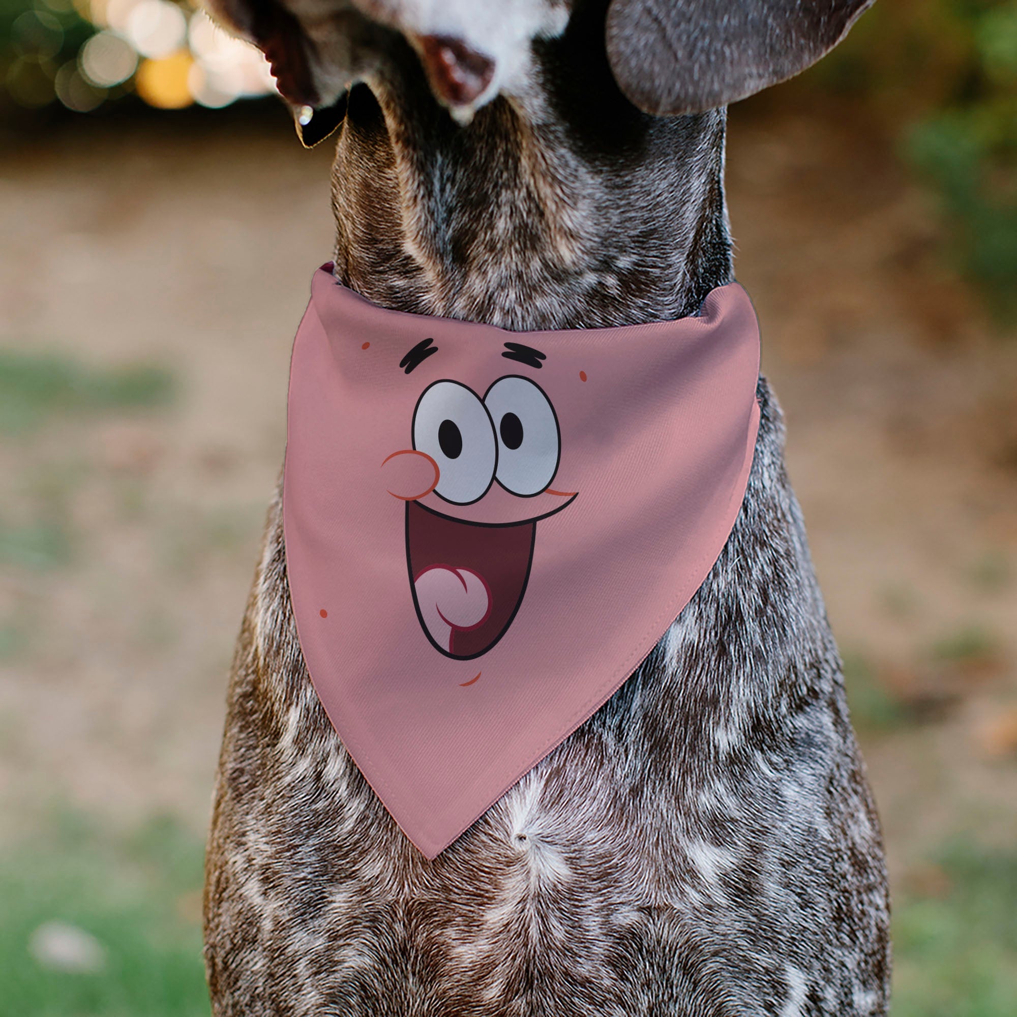 Pet Bandana - PATRICK Star Smiling Face Close-Up and Text Pinks/Reds