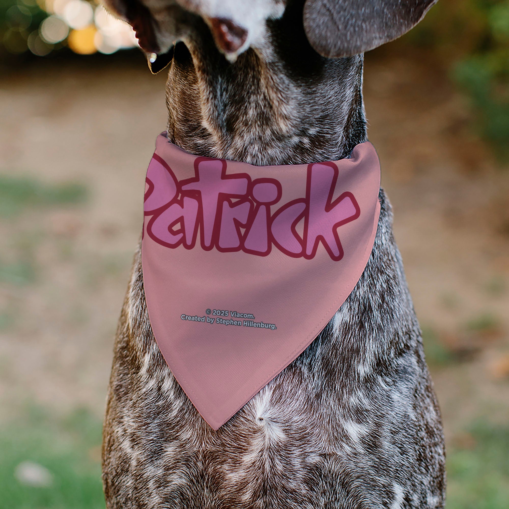 Pet Bandana - PATRICK Star Smiling Face Close-Up and Text Pinks/Reds