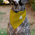 Load image into Gallery viewer, Pet Bandana - Star Trek Original Series Golden Yellow Uniform Print
