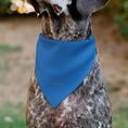 Load image into Gallery viewer, Pet Bandana - Star Trek Original Series Blue Uniform Print
