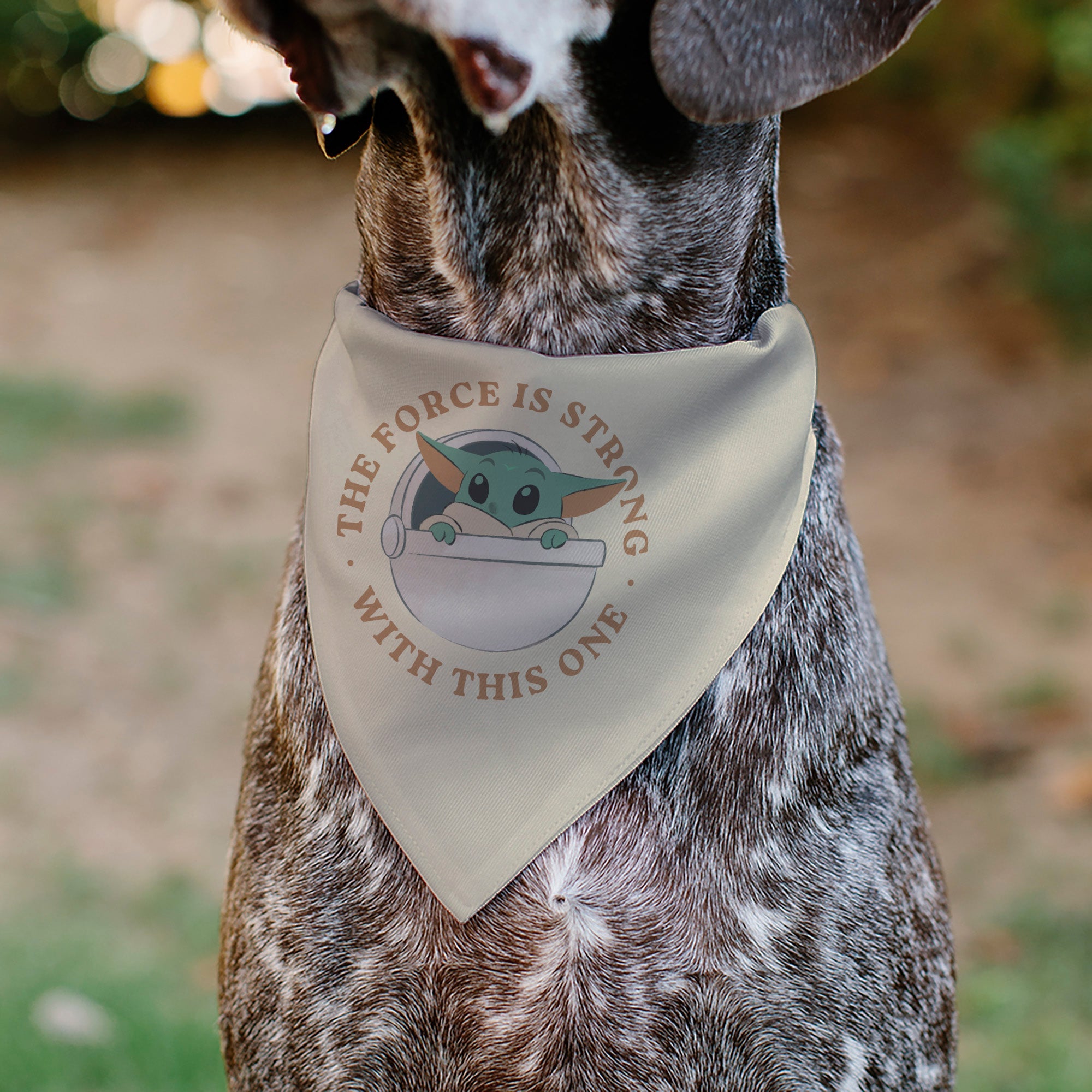 Pet Bandana - Star Wars The Mandalorian THE FORCE IS STRONG Grogu Pod Pose Beige/Tans