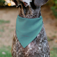 Load image into Gallery viewer, Pet Bandana - Star Wars The Madalorian and Grogu WHERE HE GOES I GO Pose Blue/Black
