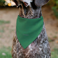 Load image into Gallery viewer, Pet Bandana - Star Wars Grogu I'M ALL EARS Pose Green
