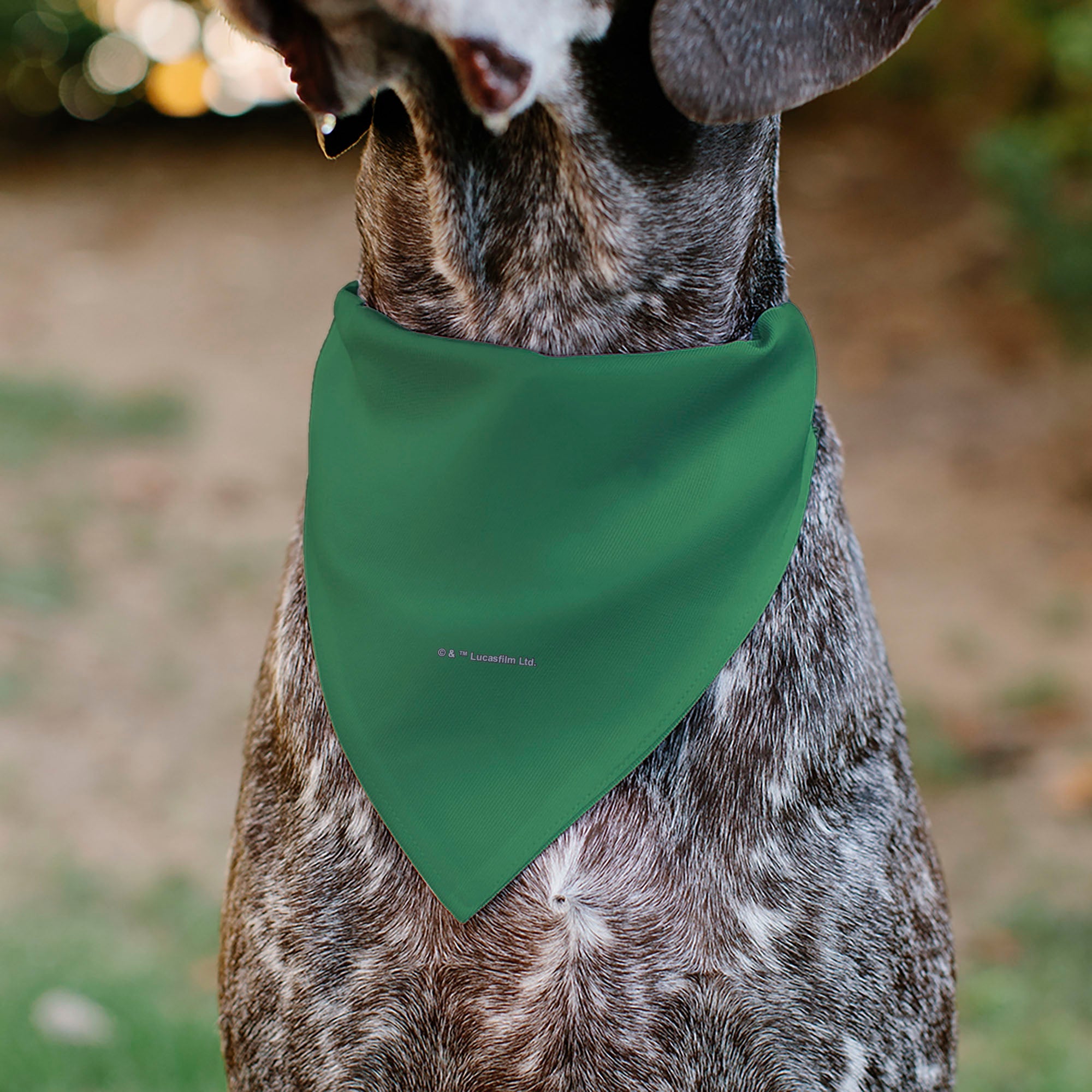 Pet Bandana - Star Wars Grogu I'M ALL EARS Pose Green