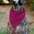 Load image into Gallery viewer, Pet Bandana - Star Wars R2-D2 Text and Pop Art Pose Red/Black/Blue
