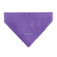 Load image into Gallery viewer, Pet Bandana - Star Wars EWOK Text and Wicket Pop Art Pose Orange/Purples/Black

