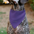 Load image into Gallery viewer, Pet Bandana - Star Wars EWOK Text and Wicket Pop Art Pose Orange/Purples/Black

