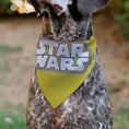 Load image into Gallery viewer, Pet Bandana - STAR WARS Title Logo Yellow/Multi Color/White
