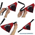 Load image into Gallery viewer, Pet Bandana - Star Wars DARTH VADER Face and Text Flame Red/Black/White
