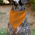 Load image into Gallery viewer, Pet Bandana - Star Wars REBEL Text and Rebel Alliance Insignia Orange/Red/Yellow
