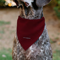 Load image into Gallery viewer, Pet Bandana - Star Wars TROOPER Text and Stormtrooper Pop Art Pose Reds/Black
