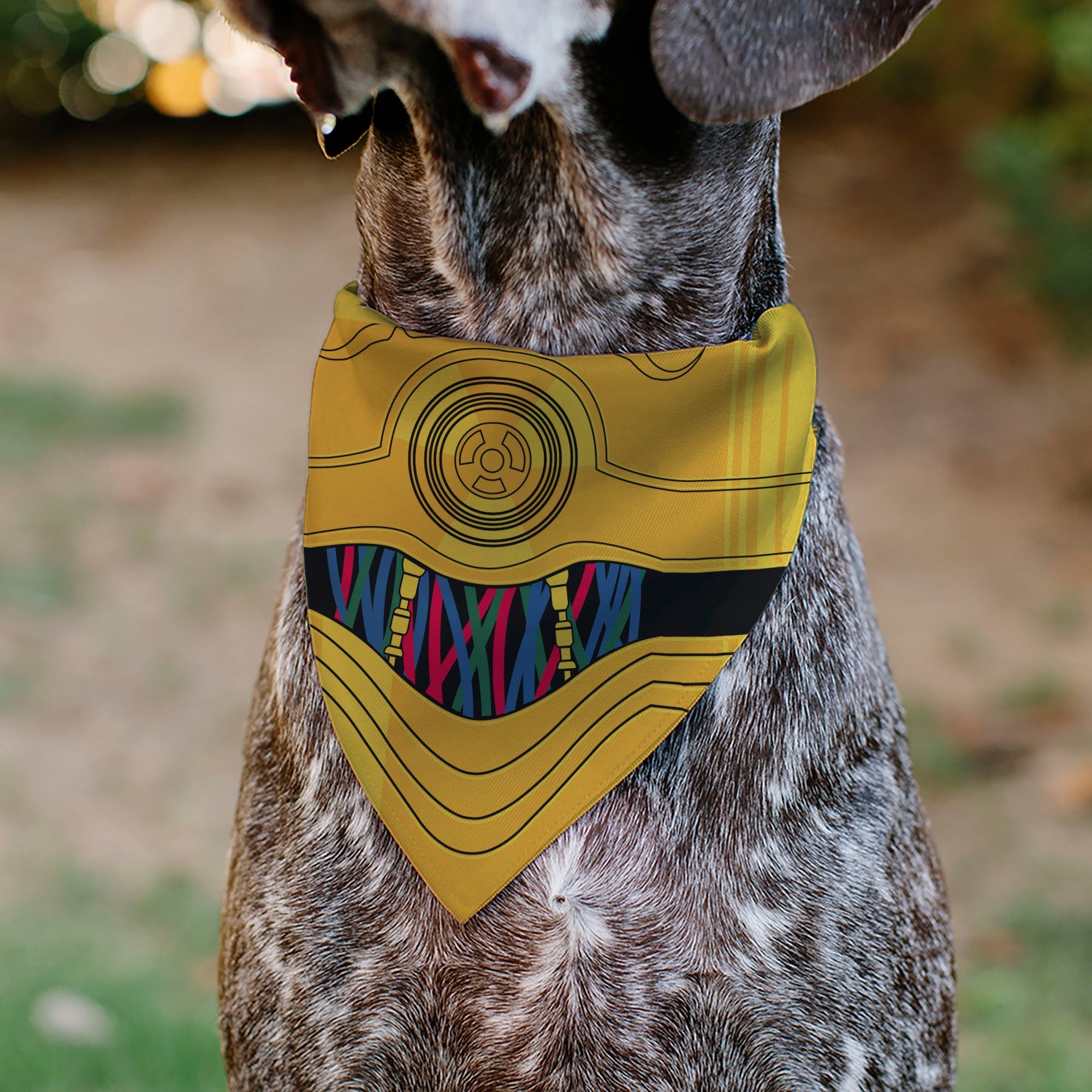 Pet Bandana - Star Wars C-3PO Character Close-Up Yellow