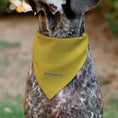 Load image into Gallery viewer, Pet Bandana - Star Wars C-3PO Character Close-Up Yellow
