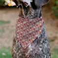 Load image into Gallery viewer, Pet Bandana - Star Wars Holiday HOT COCOA Quote Vader and Stormtrooper Mugs
