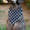 Load image into Gallery viewer, Pet Bandana - Checker Black/White
