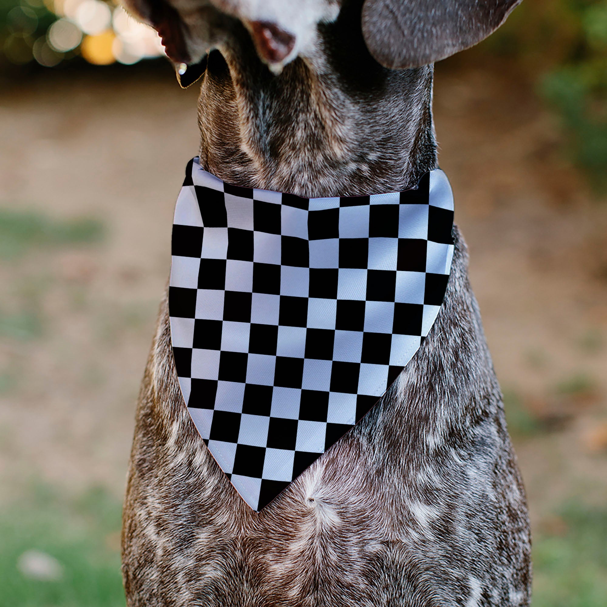 Pet Bandana - Checker Black/White