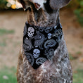 Load image into Gallery viewer, Pet Bandana - Bandana/Skulls Black/White
