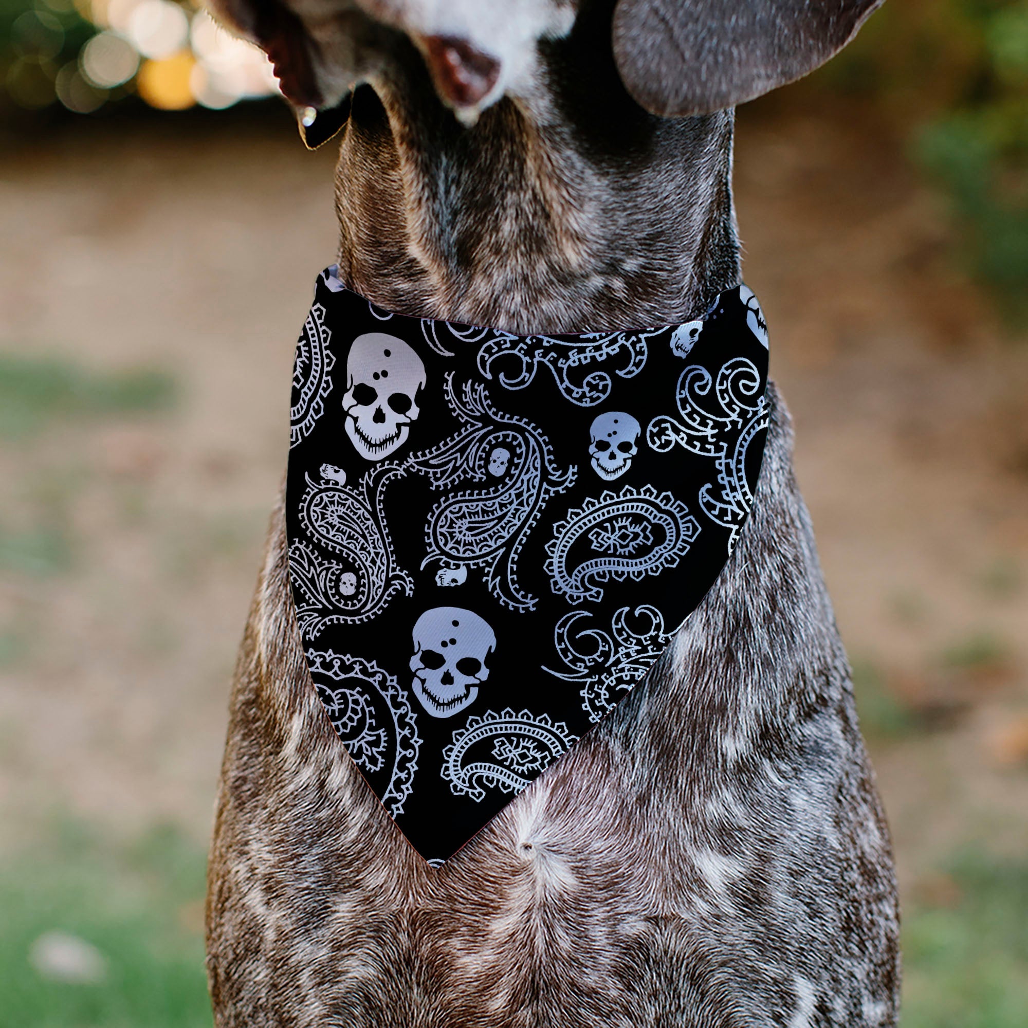 Pet Bandana - Bandana/Skulls Black/White
