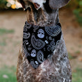 Load image into Gallery viewer, Pet Bandana - Bandana/Skulls Black/White

