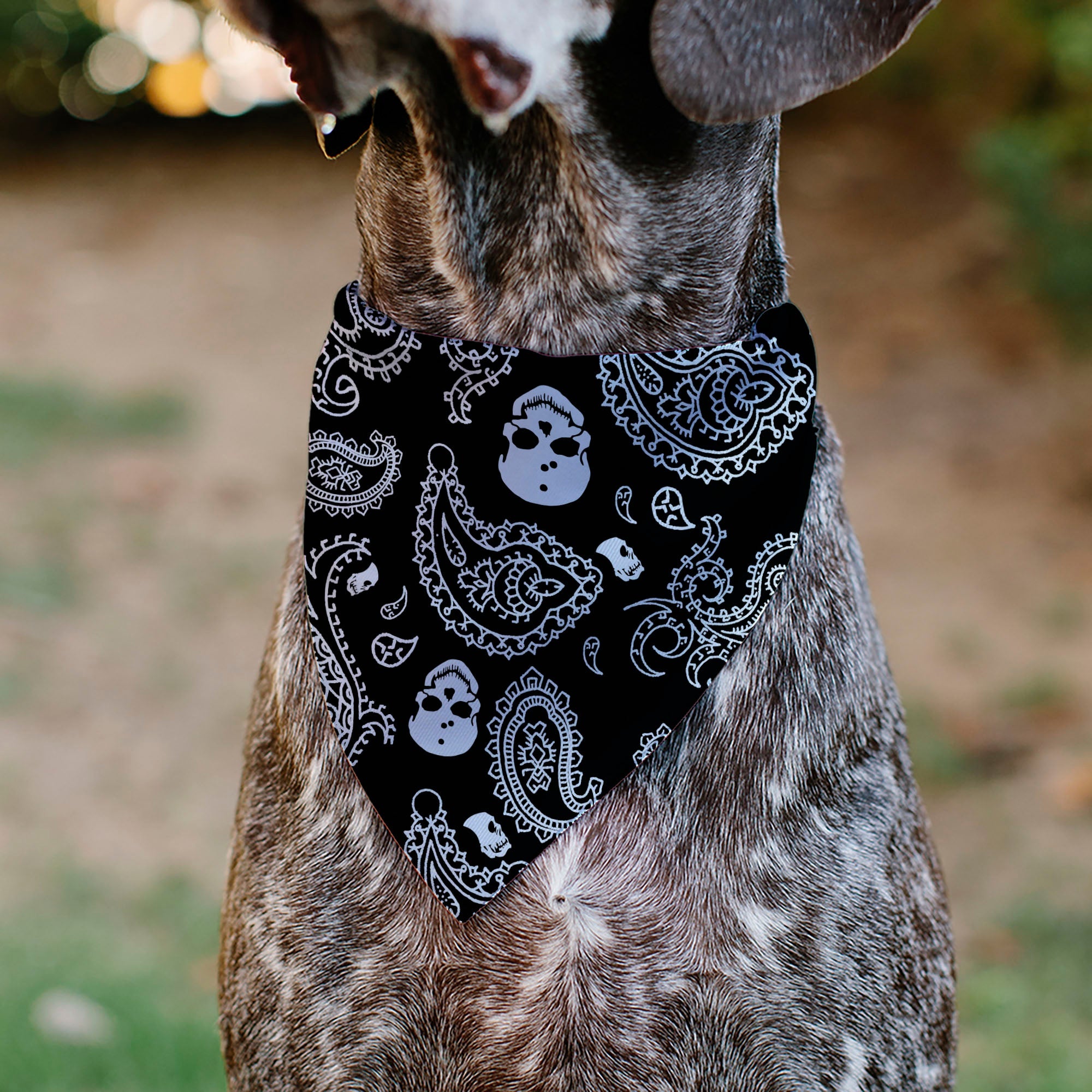 Pet Bandana - Bandana/Skulls Black/White