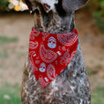 Load image into Gallery viewer, Pet Bandana - Bandana/Skulls Red/White
