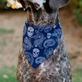 Load image into Gallery viewer, Pet Bandana - Bandana/Skulls Royal/White
