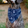 Load image into Gallery viewer, Pet Bandana - Bandana/Skulls Royal/White
