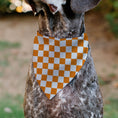 Load image into Gallery viewer, Pet Bandana - Checker White/TN Orange
