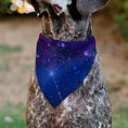 Load image into Gallery viewer, Pet Bandana - Galaxy Blues/Purples
