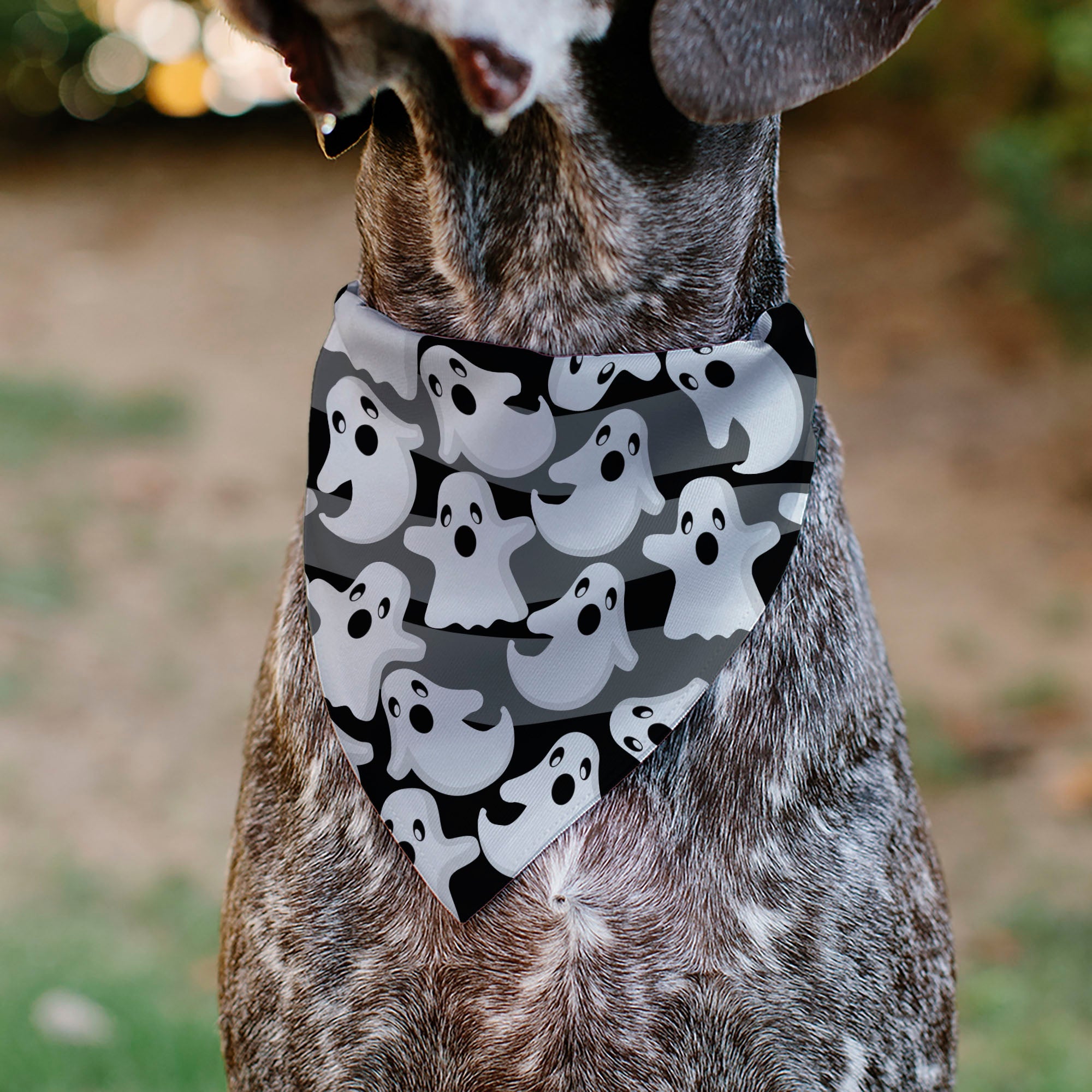 Pet Bandana - Ghosts Scattered Black/White