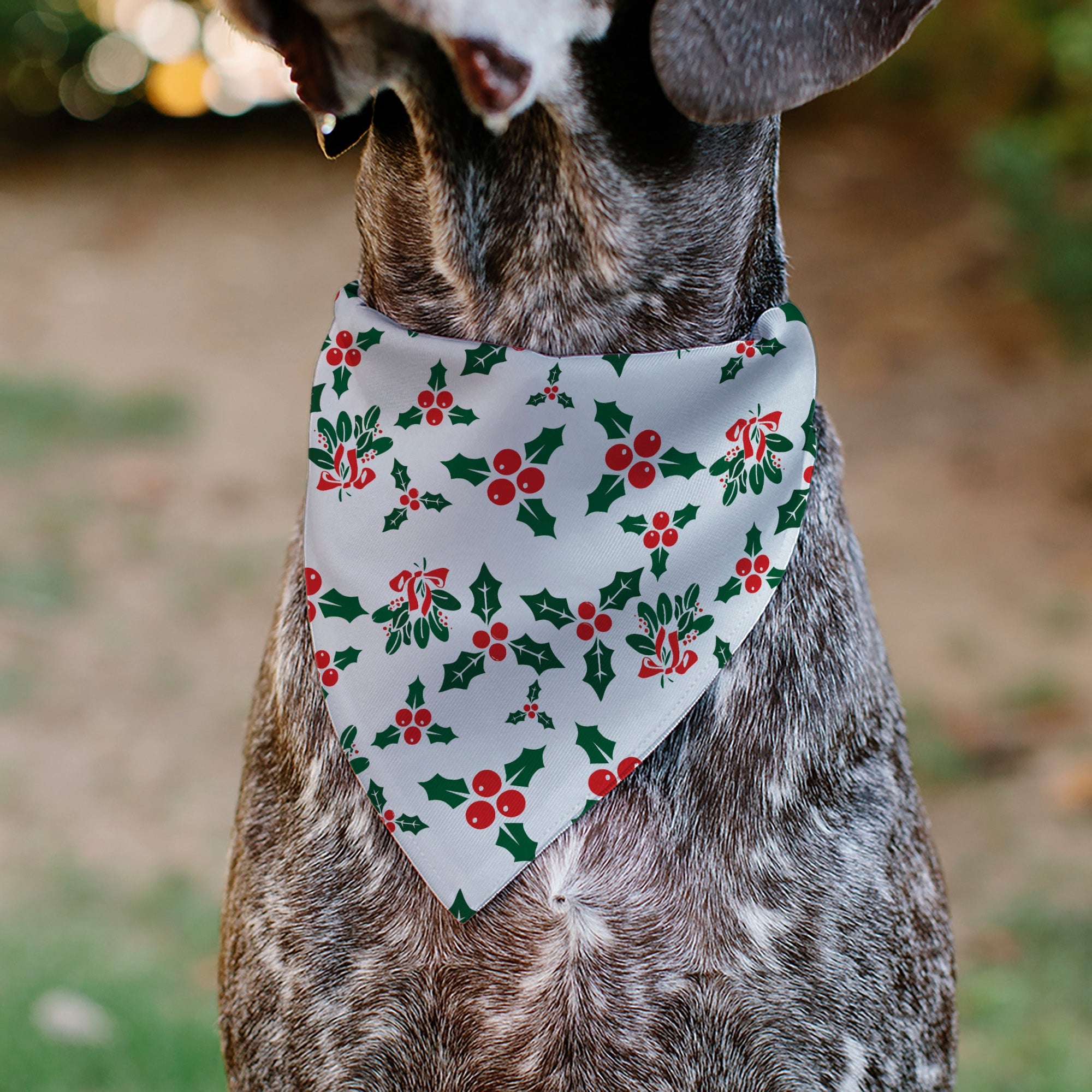 Pet Bandana - Holly & Mistletoe