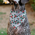 Load image into Gallery viewer, Pet Bandana - Holly & Mistletoe
