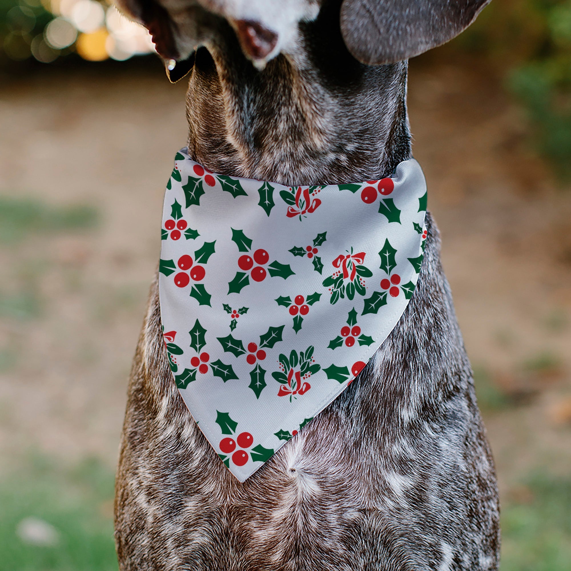 Pet Bandana - Holly & Mistletoe