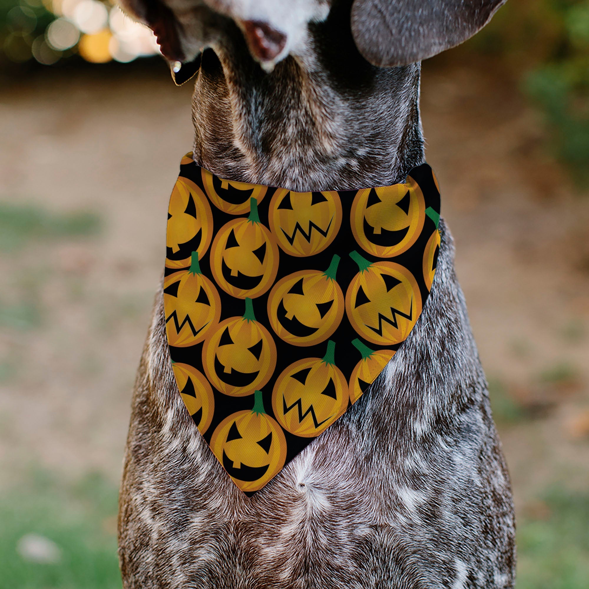 Pet Bandana - Jack-o'-Lantern Collage Black