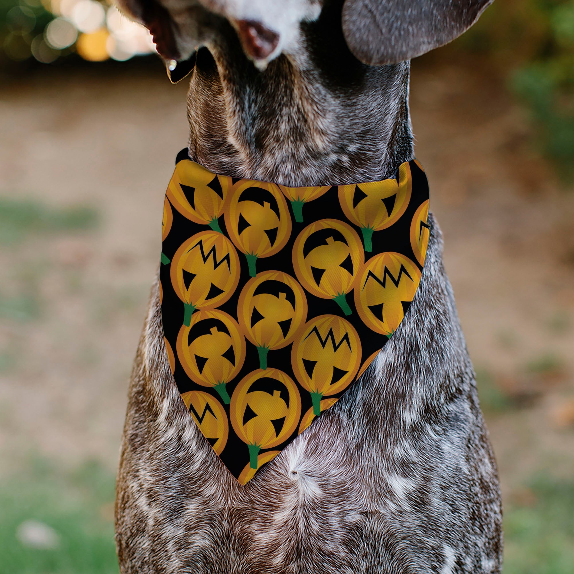 Pet Bandana - Jack-o'-Lantern Collage Black