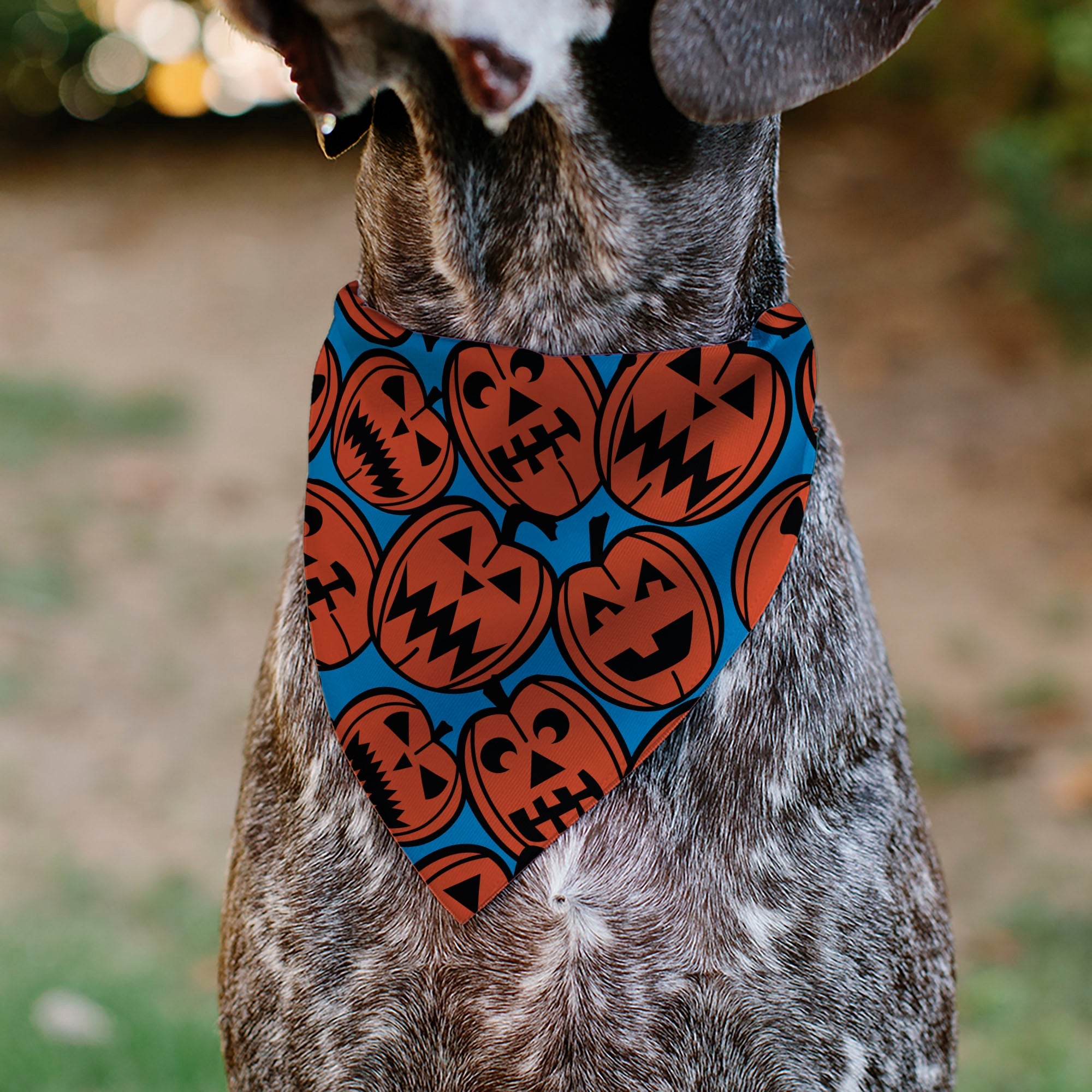 Pet Bandana - Jack-o'-Lanterns Blue