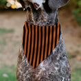 Load image into Gallery viewer, Pet Bandana - Jack-o'-Lantern Pumpkin Stripe Orange/Black
